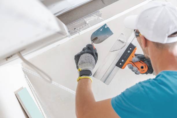 Best Mold Remediation for Vacation Homes  in USA